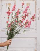 Nærbilde av sommerriddersporer blomster i rosa-lilla nyanser - Blomsterhagen