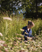 Daucus Dara – naturlig og luftig ettårig blomst med slanke stengler og skjermer i rosa og burgundertoner