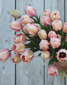 Tulipan Salmon Impression – nærbilde av myke pudderrosa kronblad med beige mønster