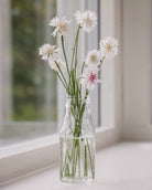 Kornblomst Ball White - ettårig snittblomst med hvite blomster